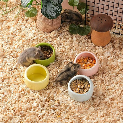 VanEnjoy 2 Pack Medium Hamster Food Bowl Ceramic Guinea Pig Food Dish No Spill Hamster Food and Water Bowl Small Animal Food Bowl - Pink and Blue