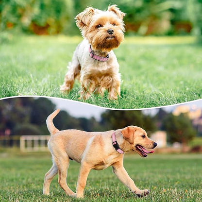 Reflective Dog Collar Padded with Soft Neoprene Breathable Quick Release Basic Dog Collars for Puppy Small Dogs Pink Girl