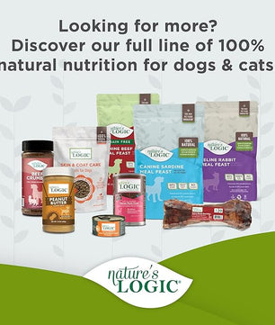 Nature's Logic Grain-Free Canned Dog Food - 95% Animal Proteins - 100% Natural Wet Dog Food Cans - No Common Allergens - All Life Stages - Ideal for Sensitive Dogs - Beef (13.2 oz, 12 pack)