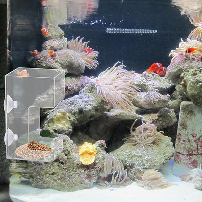 Fish Tank Feeding Tray for Fish Aquarium Feeding Dish Fishes Feeder Fishes Tank Dish with Suction Cup 3.9x2.4 Inch Feeding-Tube Ring Container Holder Dispenser for Shrimp Turtle