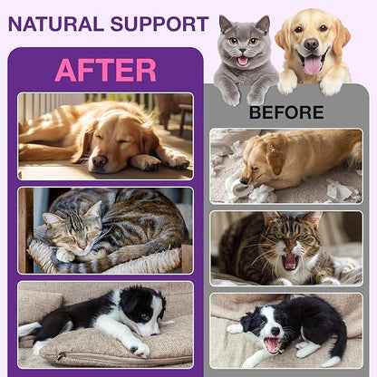 Melatonin for Pets, Dog Melatonin, Melatonin for Dogs Calming, Melatonins for Cats, Promotes Relaxation, Deep Sleep & Calm Behaviour, Reduce Anxiety and Stress, Chicken Flavor - 2Oz