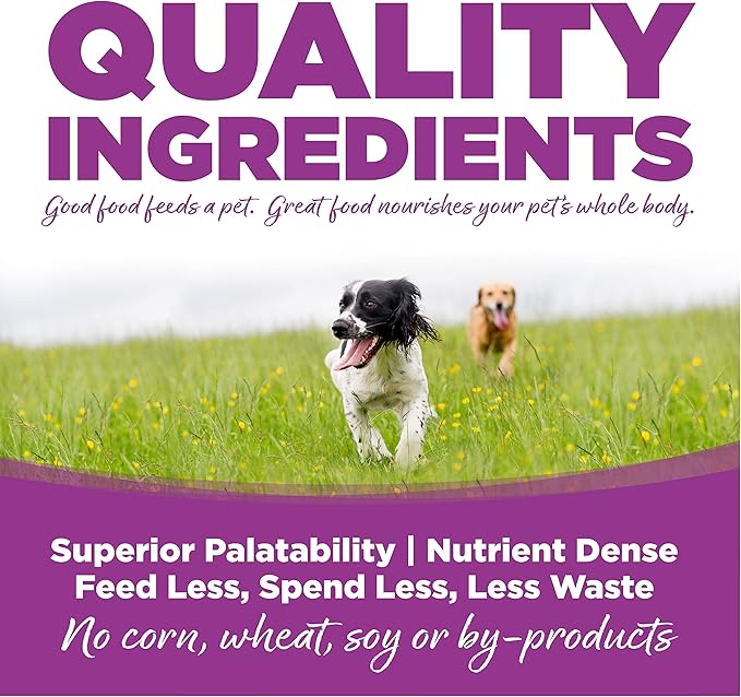 Large Breed Puppy Chicken & Rice Dry Dog Food Size: 1.5-Lb Bag