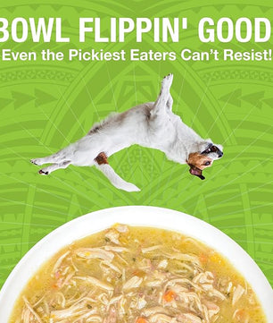 KOHA Pure Shreds Chicken and Duck Entrée for Dogs, 12.5oz Cans (Pack of 12)