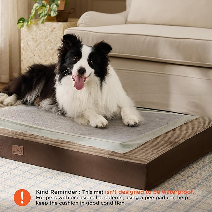 Bedsure Dog Beds Large Sized Dog- Orthopedic Pet Beds with Removable Machine Washable Cover, NOT Waterproof Egg Crate Foam Puppy Pad, Suitable for Pet Up to 50 lbs, 35"x22"