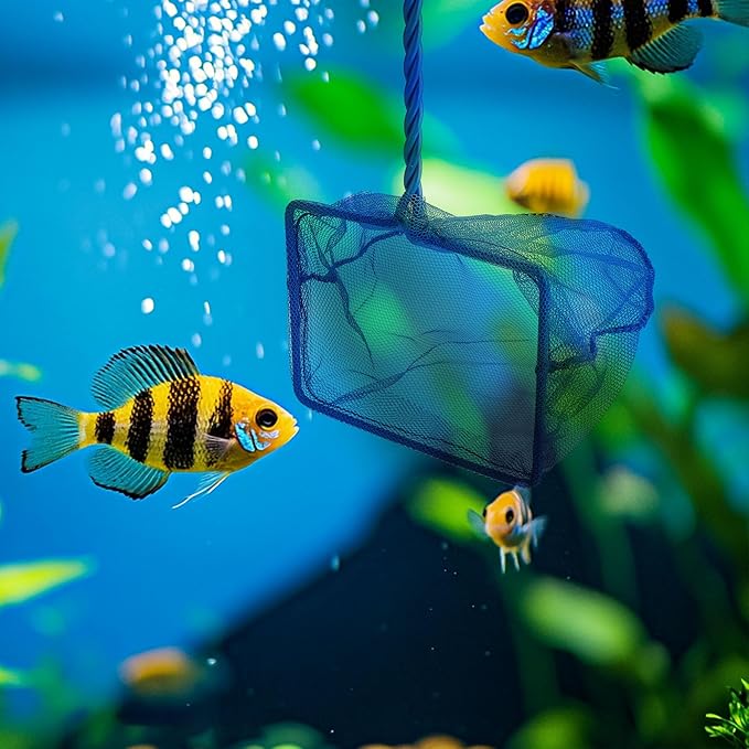 3 Pack Aquarium Net, Multi-Size Fine Quick Fish Catch Nets Extra Soft Nylon Fishing Nets with Plastic Handle for Aquarium Fish Tank Supplies- Blue (4in,5in, 6in)