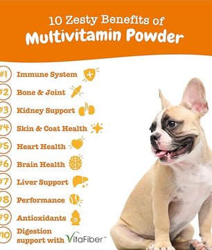 Zesty Paws 10-in-1 Dog Multivitamin Powder - Gut, Immune, Joint, Skin & Coat Support, and More - Dog Vitamins and Supplements Powder - Pet Supplements with Omega Fish Oil & VitaFiber - Salmon - 30 Ct