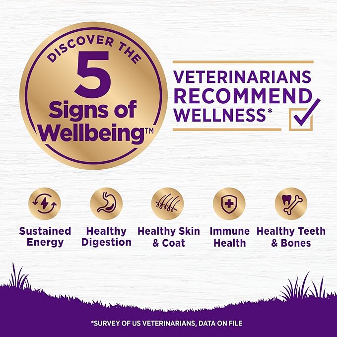 Wellness Complete Health Dry Dog Food, Grain Free, Natural, Lamb Recipe, (24-Pound Bag)
