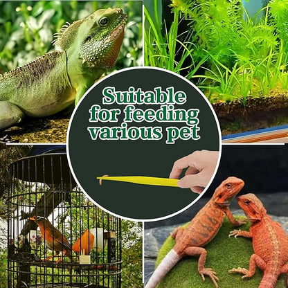 4-Pack Reptile Feeding Tongs Set - Hygienic Anti-Slip Yellow Tweezers for Bearded Dragons, Lizards, Snakes, Aquariums & Small Animals(Three Colors to Choose from, 18cm)