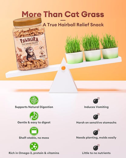 17.63oz Crunchy Cat Grass Treats for Hairball Control – Natural Salmon & Cat Grass & Catnip Biscuits, Low-Calorie Healthy Snacks for Indoor Cats, Digestive & Dental Care