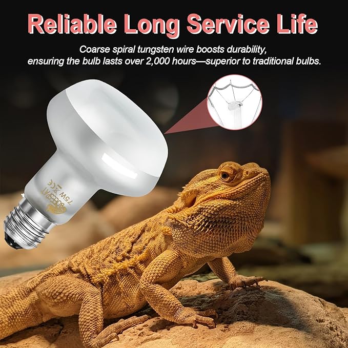 Intense 75W UVA Daylight Heat Lamp Bulbs for Basking - Simulated Sunlight Perfect for Desert-Dwelling Reptiles and Amphibians Like Bearded Dragons, Geckos, Iguanas, Lizards, (Pack of 2)