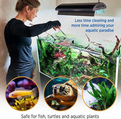 Fish Tank Rocks for Enhancing Water Clarity with Your Regular Cleaning Routine, Fish Friendly Aquarium Rocks, All Natural Aquarium Decor, Medium, Covers 750-1,500 Gallons