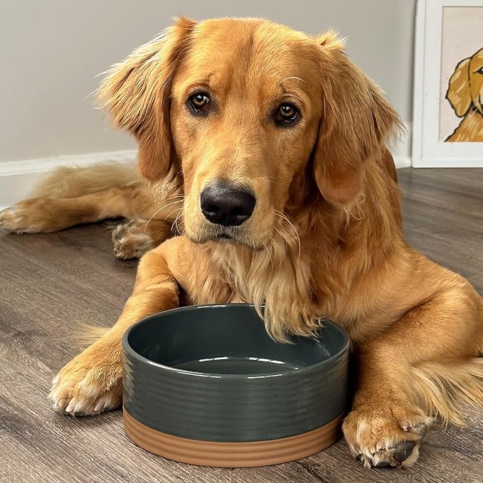 Mora Ceramic Pet Bowl Size Medium - Food/Water Dish for Large Puppies, Cats, Retrievers, Medium Sized Dogs, ect. 28oz or 4 Cups - Basic Bowls for Your Dog or Cat, Mix and Match for a Set - Charcoal