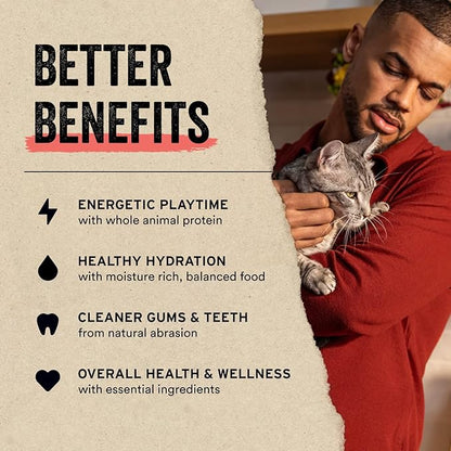 Vital Essentials Freeze Dried Raw Single Ingredient Cat Treats, Chicken Hearts, 0.8 OZ (Pack of 3)