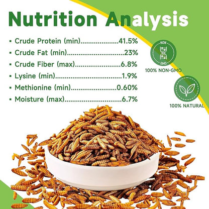 1LB Dried Black Soldier Fly Larvae Treat for Chicken, 100% Natural Non-GMO More Calcium Than Dried Mealworms High Protein Chicken Feed for Birds, Ducks, Layer Hens