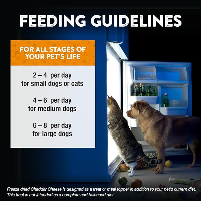 Northwest Naturals Raw Rewards Freeze-Dried Cheddar Cheese Treats for Dogs and Cats - Bite-Sized Pieces - Healthy, 1 Ingredient, Human Grade Ingredients, Natural, Proudly Made in USA, 6 Oz (Pack of 3)