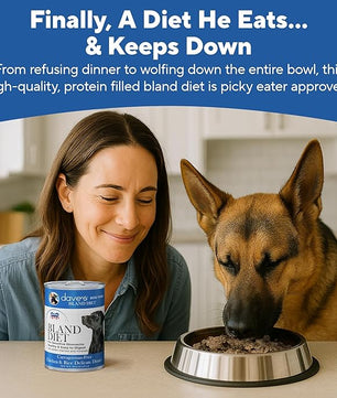 Dave's Pet Food Bland Diet Dog Food (Chicken & Rice), Sensitive Stomach, Easy to Digest, Gluten-Free, Digestive Care, Wet Canned, 13.2 oz (Case of 12)