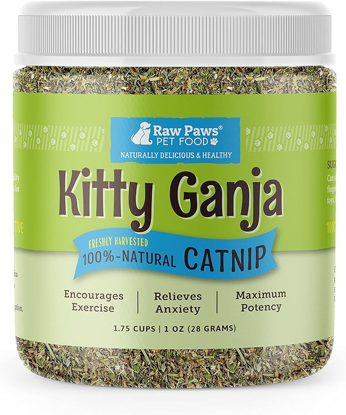 Raw Paws Fresh Catnip for Cats, 1-oz (2 Cups) - Use for Refillable Catnip Toys for Cats - Natural Dried Cat Nip