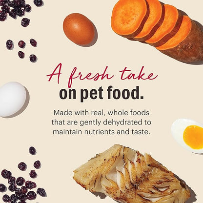 The Honest Kitchen Human Grade Wholemade™ Dehydrated Grain Free Fish Dog Food - Complete & Balanced Meal or Topper - 4 lb Box