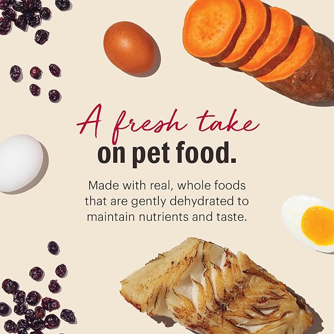 The Honest Kitchen Human Grade Wholemade™ Dehydrated Grain Free Fish Dog Food - Complete & Balanced Meal or Topper - 10 lb Box