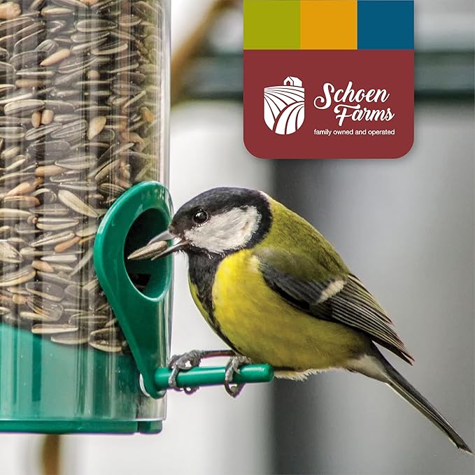 Schoen Farms Striped Sunflower Seeds – Hulled Wild Bird Food – 3 lb Bag – Clean, No-Mess Bird Seed for Finches, Jays & Cardinals