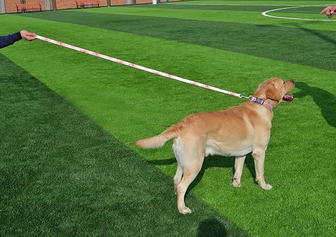 Dog Collar and Leash Set with Bohemia Floral Tribal Geometric Patterns - Soft Ethnic Style Collar Adjustable for Small Medium Large Dogs(Pink Rose Set,S)