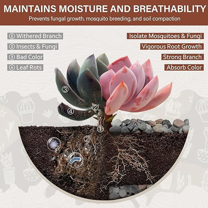 NUPICK 3 lbs Pebbles for Indoor Plants, 3/8 Inch Pea Gravel for Fish Tank, Decorative Rocks for Succulent, Natural River Stones for Vases, Cactus, Landscaping, Bird Bath, Aquarium, Mixed