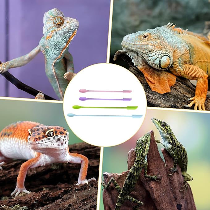 4Pcs Reptile Spoon Long Handle Crested Food Spoons Feeding Tongs Crested Gecko Feeding Spoon Aquarium Feed Tools for Gecko Lizard Gargoyle Bearded Other Small Animals 11.8In 9.3In 6In