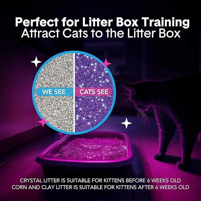 Boxie Glo Clumping Clay 30 Day Odor Control Cat Litter, 99.9% Dust-Free, Low Tracking, UV Light Attractant, 40 lb