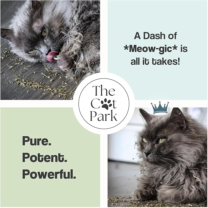 Organic Catnip for Cats & Kittens – 1.76 oz Premium Natural Catnip, High Potency Blend for Playtime, Training, and Stress Relief, 2 Cups of Dried Cat Nip Leaves