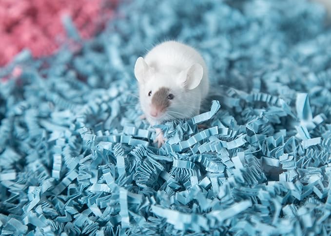 ECO BEDDING 99% Dust Free Paper Bedding for Small Pets and Birds, Blue, 1.5 lb (Expands to 30 L)