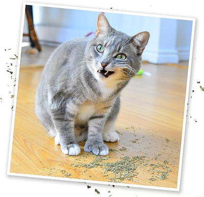 Meowijuana Purrple Passion - Premium Silvervine and Catnip Blend - Purrfect Gift For Cats, Kitties, Felines, and Cat Lovers