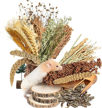 Natural Ear of Grain Flower&Herb Bedding Mate Habitat Decor, Adding Fun Hamster Accessories for Hamsters Gerbils Lemming