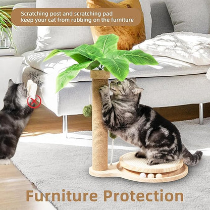 Meowoou Cat Scratching Post Cat Scratcher Interactive Toy with Dangling Ball for Indoor Kitten Large Base Wooden Ball Track 17.7" Tall Modern Sisal Scratch Pole