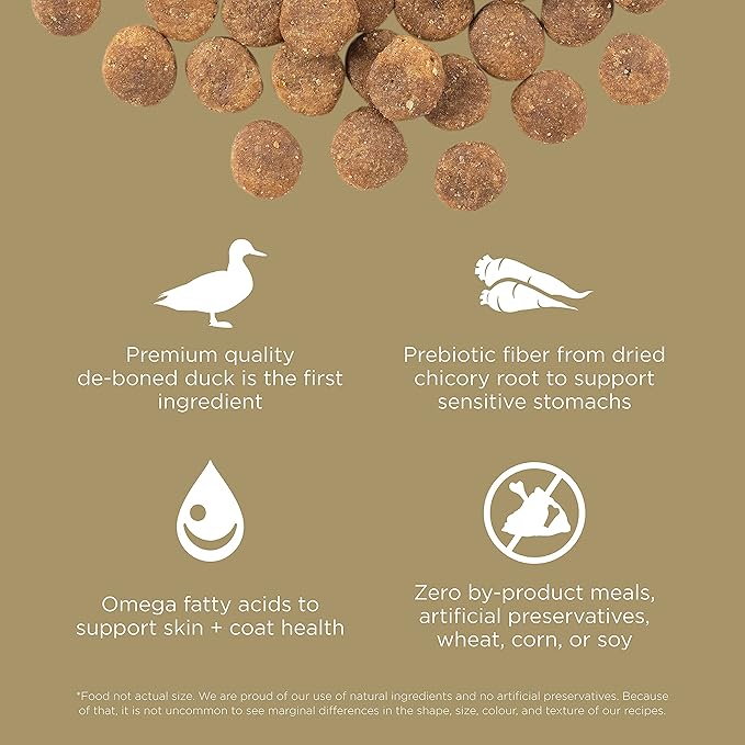Go! Solutions Sensitivities Limited Ingredients, Grain-Free Dry Dog Food, Duck Recipe for Sensitive Stomach, 12 lb Bag
