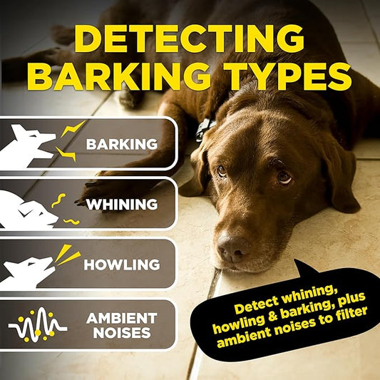 Dogtra Smart NOBARK Detects Whining and Barking, 33 ft Range App for Notifications, E-Collar, Behavior Report, Waterproof IPX9K, Compact Size for 10 lb Dogs, Triple Detection Accuracy