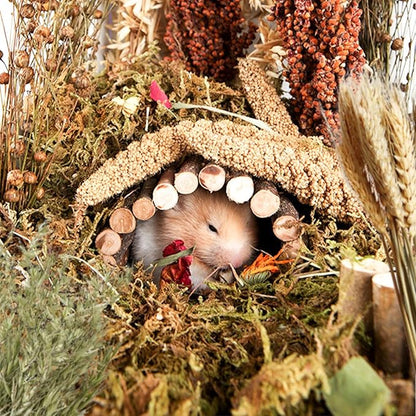 Natural Ear of Grain Flower&Herb Bedding Mate Habitat Decor, Adding Fun Hamster Accessories for Hamsters Gerbils Lemming