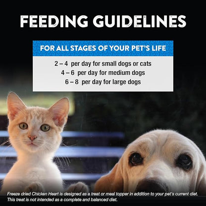 Northwest Naturals Raw Rewards Freeze-Dried Chicken Heart Treats for Dogs and Cats - Bite-Sized Pieces - Healthy, 1 Ingredient, Human Grade Pet Ingredients, Natural, Made in USA, 10 Oz (Pack of 3)