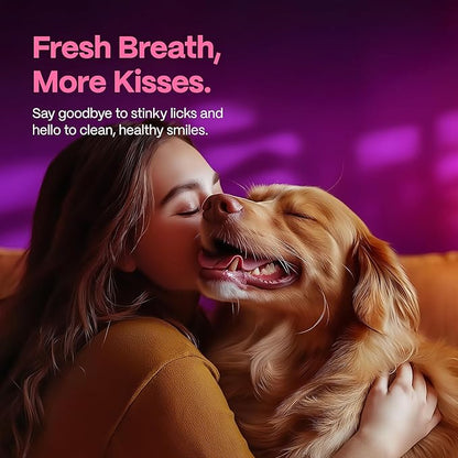 DOCO Dog Teeth Cleaning Wipes - Dog Tooth Brushing Kit, Remove Plaque & Tartar, Dental Freshen Breath, No Rinse, Easy Pet Tooth Cleaning Kit for Oral Care, Ideal for Cat Owners - Bacon Flavor, 100 ct.