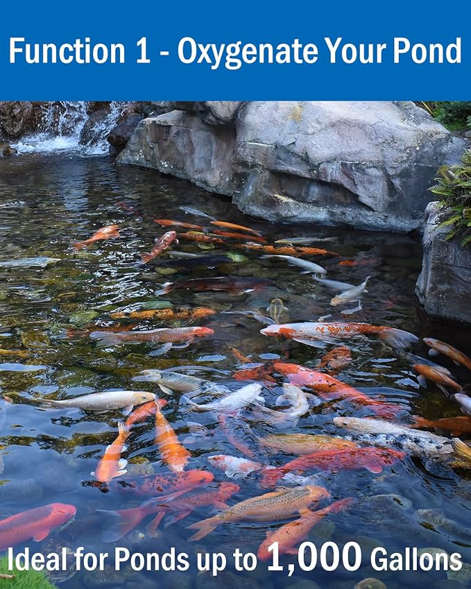 AquaMiracle All-in-One Koi Pond Aerator for Outdoor Ponds up to 1000 Gallons, Pond Air Pump Pond Aeration System with Double Outlet Airline Tubing Air Stones Check Valves
