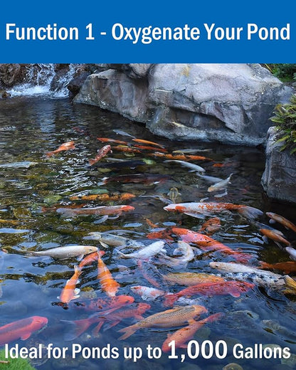 AquaMiracle All-in-One Koi Pond Aerator for Outdoor Ponds up to 1000 Gallons, Pond Air Pump Pond Aeration System with Double Outlet Airline Tubing Air Stones Check Valves