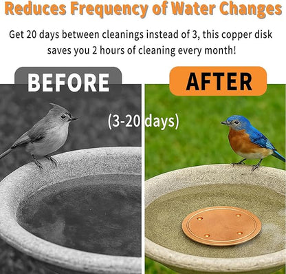 2 Pcs Pure Copper Disk for Bird Bath, 0.6mm Premium 99.99% Copper Insert with Raised Point, Fits Most Bird Baths for Indoor Outdoor Garden Backyard – 4” Diameter