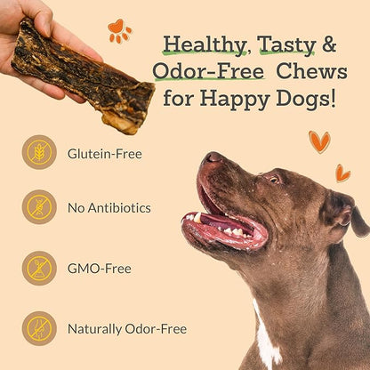 Gullet Flat Jerky (6" Long, 30 Count/Pack) Buffalo Dog Treats for Large, Medium & Small Breed, Healthy Training Treats for Dogs, Gluten Free & Odor Free, Easily Digestible - 1lb