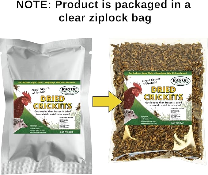 1 Pound Dried Crickets - High Protein Insect Treat - Chickens, Wild Birds, Hedgehogs, Bluebirds, Reptiles, Sugar Gliders, Opossums, Skunks, Lizards, Bearded Dragons, Fish, Turtles 8 oz. (2 Pack)