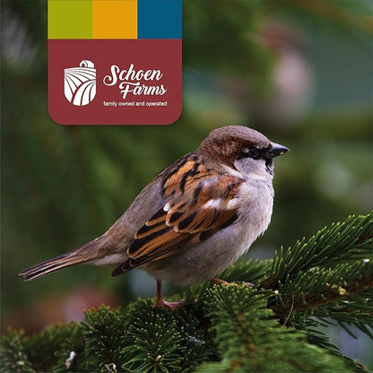 Schoen Farms Sunflower Kernels & Chips – 4 lb Bag – Hulled Sunflower Hearts Bird Seed – No-Mess Wild Bird Food for Finches, Chickadees & Cardinals