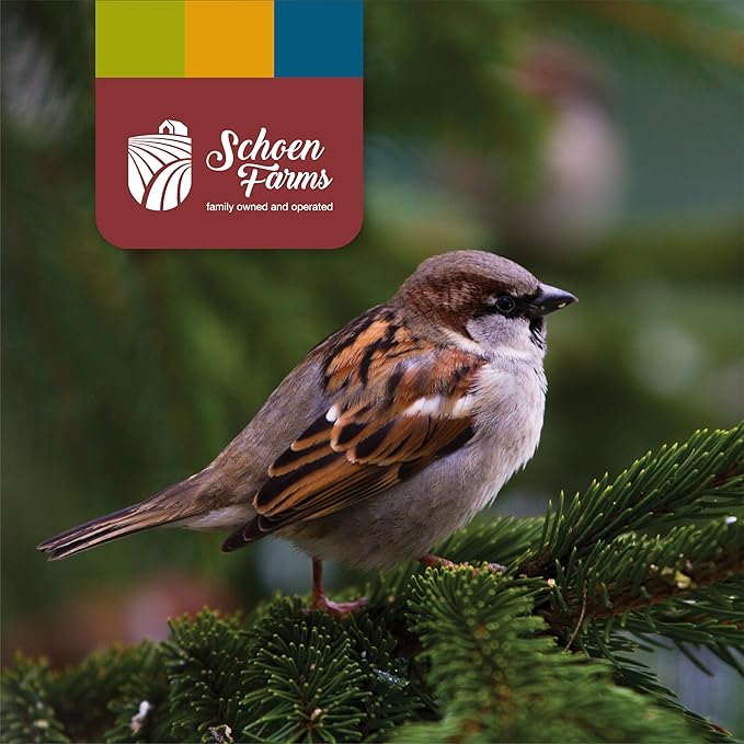 Schoen Farms Sunflower Kernels & Chips – 10 lb Bag – Hulled Sunflower Hearts Bird Seed – Premium No-Mess Wild Bird Food for Chickadees, Finches & Jays