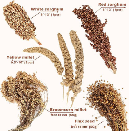 Natural Ear of Grain Flower&Herb Bedding Mate Habitat Decor, Adding Fun Hamster Accessories for Hamsters Gerbils Lemming