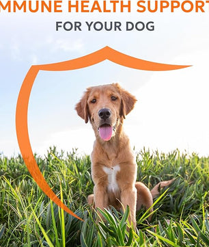 Nutramax Laboratories Nutramax Imuquin Immune Health Supplement Powder for Dogs, with Beta Glucans, Marine Lipids, Vitamins and Minerals, 30 Packets, Updated Version