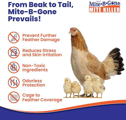 Mite Killer Treatment Spray Pack by Mite-B-Gone | Kills All Types of Mites, Dust, Spider, Rat, Carpet & Bird Mites | Safe for Homes, Furniture & Pets | Non-Toxic | Kid & Pet Friendly | 1 Gal 4-Pack