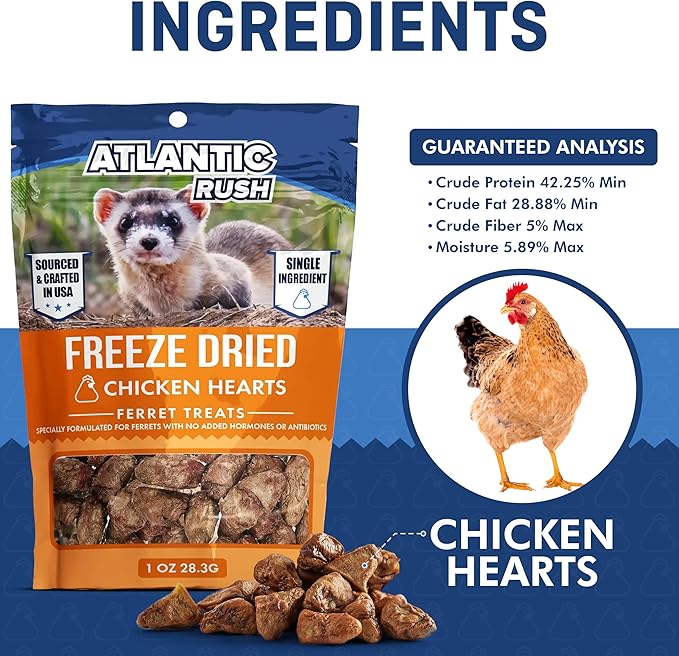 Freeze Dried Small Pet Treats - Resealable Bag of Treats for Ferrets - Ferret Snacks - Single Ingredient Ferret Food With No Preservatives Or Fillers- Small Animals Treats (1oz, chicken Heart)
