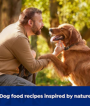Nature's Recipe Grain Free Beef, Sweet Potato, and Pumpkin Recipe Wet Dog Food, 13 oz. Can, 12 Count